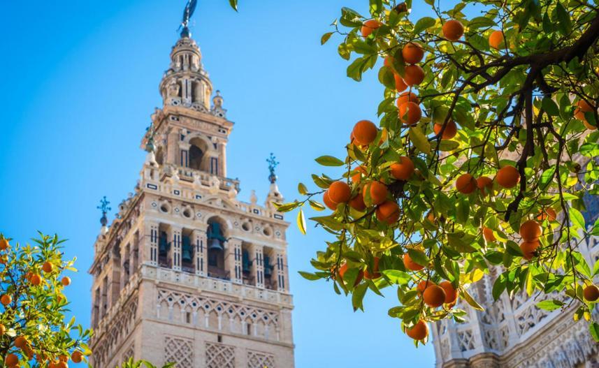 Callejon De La Luz Sevilla Exterior foto
